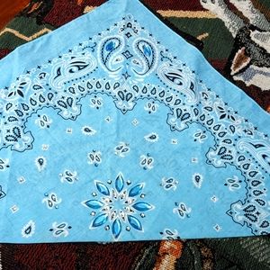 Biker  Bling Bandana Baby Blue
